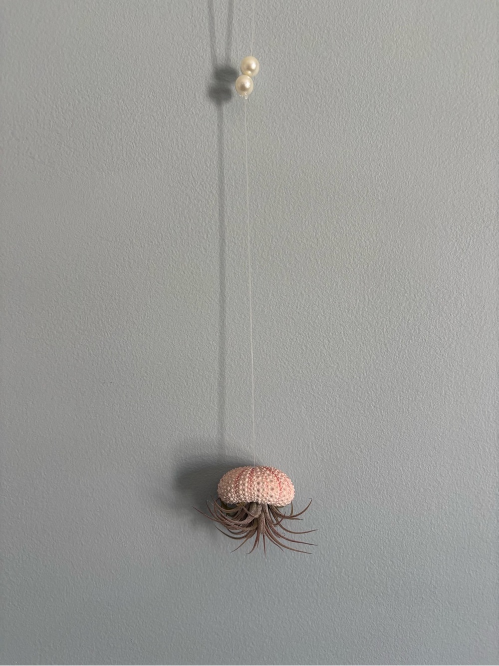 Hanging Sea Urchin Air Plant Holder -Pale Pink *includes air plant